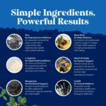 Nature's Craft Male Fertility Supplement - Pre-Conception Formula - Image 3