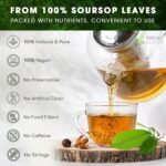 Premium Soursop Leaf Tea Bags - 100% Natural Graviola (Guanabana) Herbal Tea - Image 2