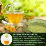 Premium Soursop Leaf Tea Bags - 100% Natural Graviola (Guanabana) Herbal Tea - Image 3