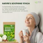 Premium Soursop Leaf Tea Bags - 100% Natural Graviola (Guanabana) Herbal Tea - Image 4